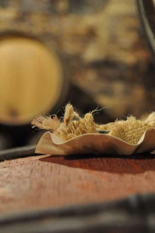 Burgundy Wines Full-Day Tasting Tour from Dijon - The Real Value of This Tour