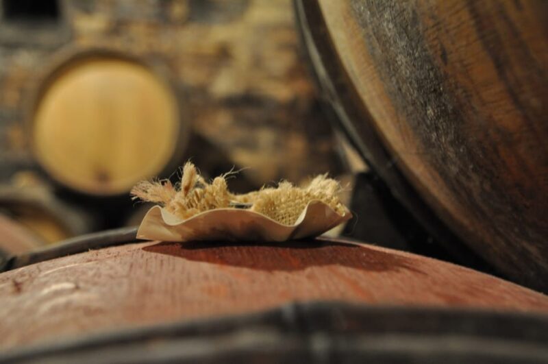 Burgundy Wines Full-Day Tasting Tour from Dijon - Final Thoughts