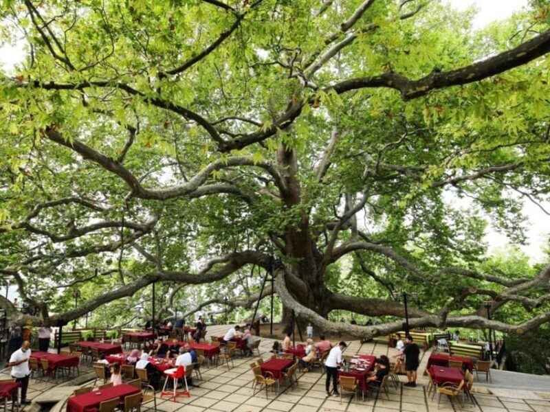 Bursa Full Day Sightseeing Tour from Istanbul - Who Is This Tour Best For?