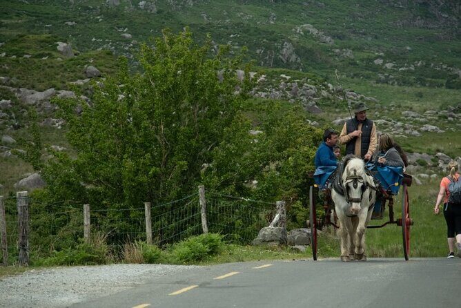 Bus, Boat & Jaunting Cart Tour (Jaunting Cart Paid Separately) - Is it worth the price?