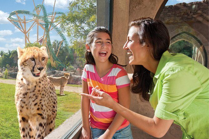 Busch Gardens Tampa Bay Admission Ticket - The Downsides That Matter