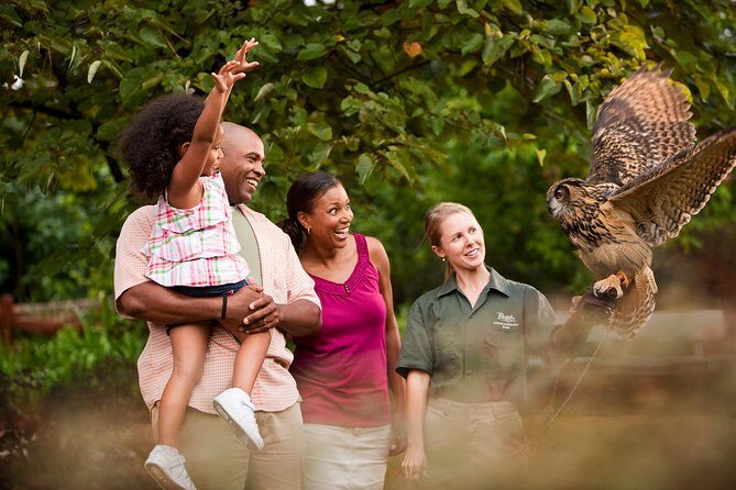 Busch Gardens Williamsburg Admission Ticket - Rides and Attractions