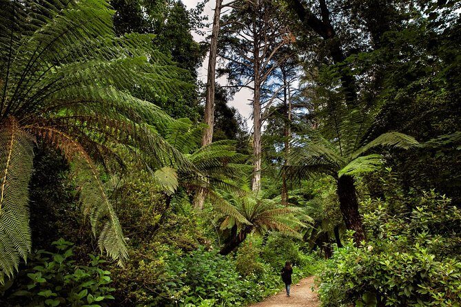 Bussaco Palace, Gardens & Forest - Who Should Consider This Tour?