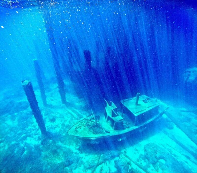 Busselton: Jetty Scuba Dive Tours with Underwater Sculptures - The Value: Is It Worth It?