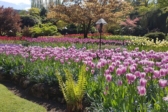 Butchart Gardens and City Highlights Private tour - Who Should Consider This Tour?