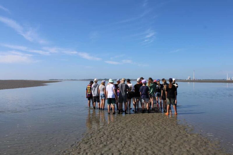 Butjadingen: Guided mudflat hike in the World Heritage Site - Exploring the Mudflats of Butjadingen: A Guided Walk Through a UNESCO World Heritage Site