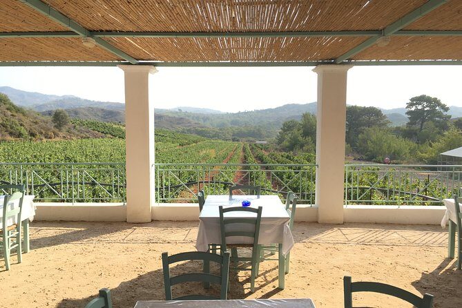 Butterflies Valley & Wine Tasting Experience Private Tour - The Value of This Private Tour