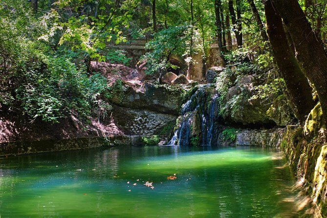 Butterfly Valley & Wine, Olive Oil, Honey Tasting Tour (Small Group) - Who Should Consider This Tour?