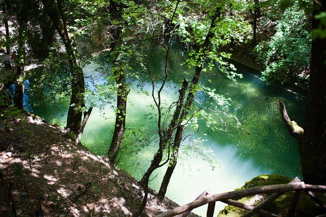 Butterfly Valley & Wine, Olive Oil, Honey Tasting Tour (Small Group) - FAQs