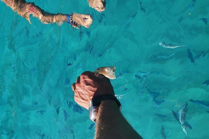 By boat between the sea and the most beautiful beaches! Capo Vaticano - Tropea - Briatico - Why this tour is worth considering