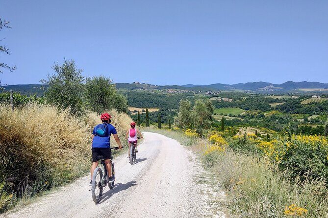 By Ebike: Visit an Art Park and Wine Taste in the Classic Chianti - The Experience in Detail