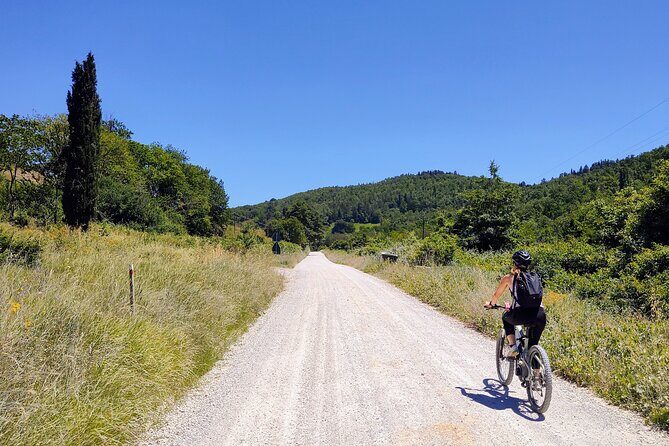 By Ebike: Visit an Art Park and Wine Taste in the Classic Chianti - Final Thoughts