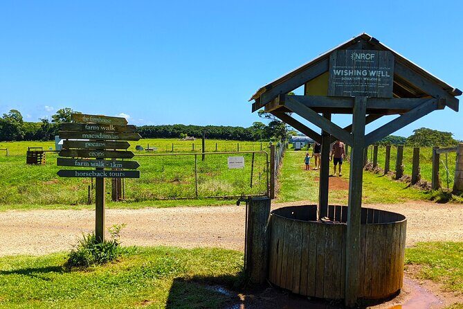 Byron Bay, Bangalow & Gold Coast Day Trip from Brisbane - Who Is This Tour Best For?