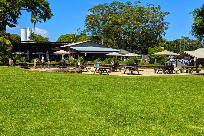 Byron Bay, Bangalow & Gold Coast Day Trip from Brisbane - Final Thoughts