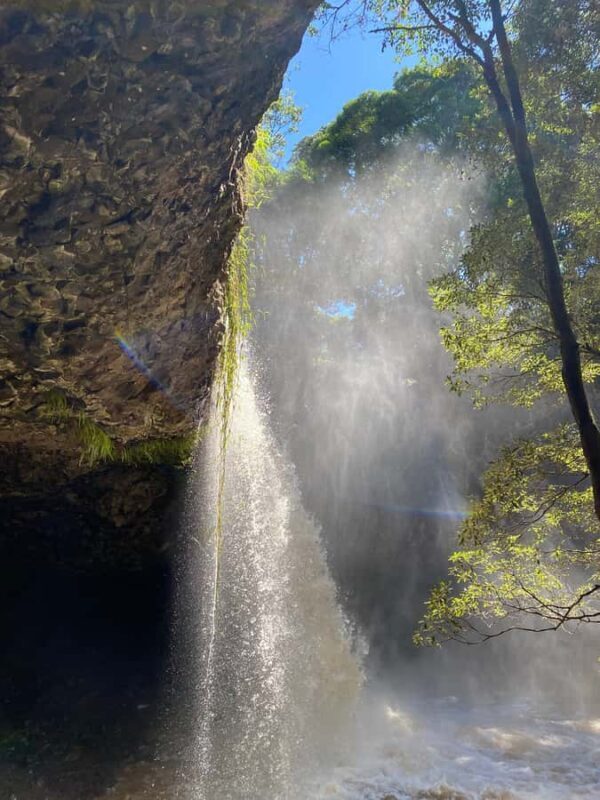 Byron Bay: Behind The Bay Waterfalls & Hidden Gems Day Tour - Setting the Scene: What’s Included in the Tour?