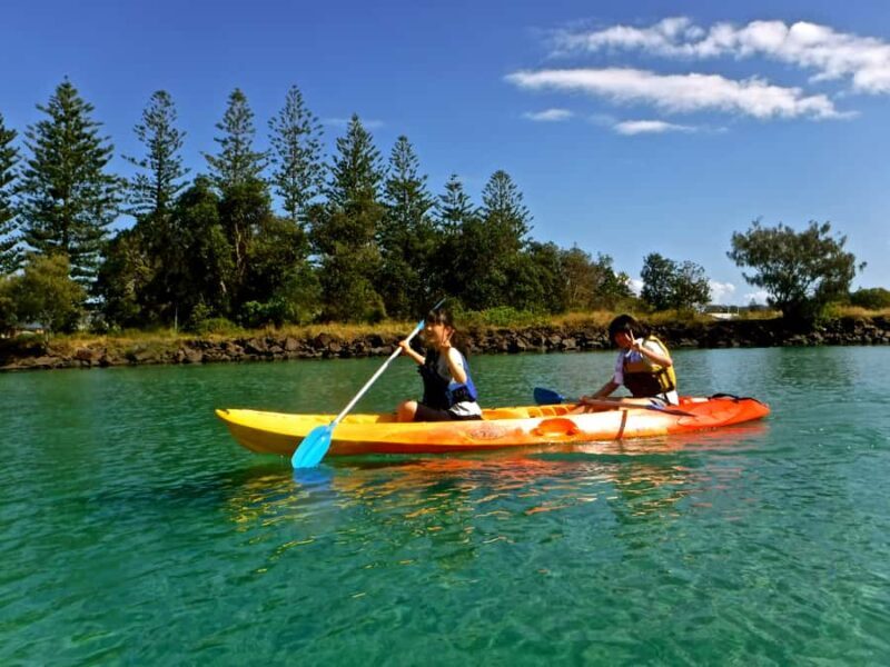 Byron Bay: Brunswick River Scenic Kayak Tour - What to Expect from the Brunswick River Kayak Tour