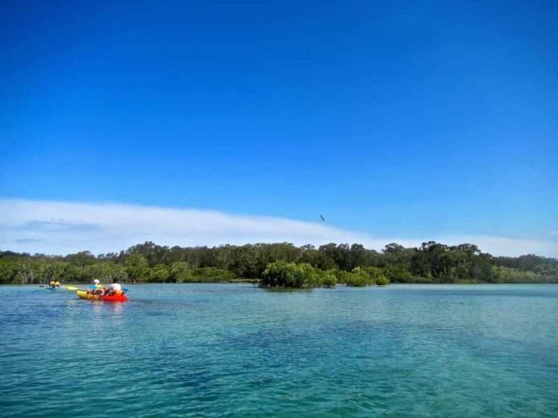 Byron Bay: Brunswick River Scenic Kayak Tour - FAQs
