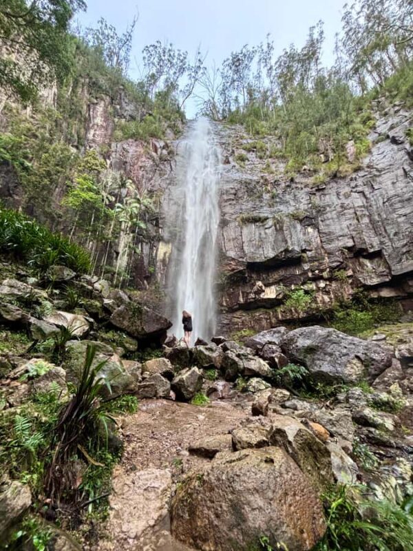 Byron Bay: Glowworms, Waterfalls & Rainforest Experience - An In-Depth Look at the Tour