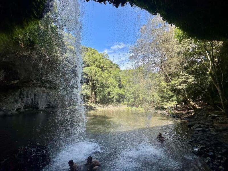 Byron Bay: Rainforest Waterfalls Guided Eco Tour - What Is the Byron Bay Rainforest Waterfalls Guided Eco Tour?