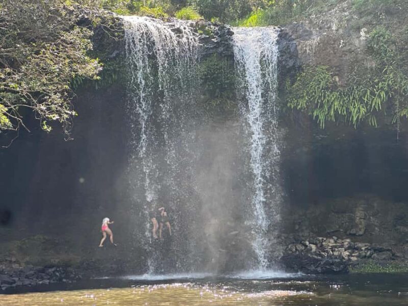 Byron Bay: Rainforest Waterfalls Guided Eco Tour - What Does the Experience Feel Like?