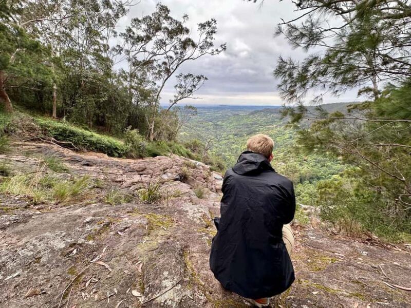 Byron Bay: Rainforest Waterfalls Guided Eco Tour - Is It Worth the Cost?