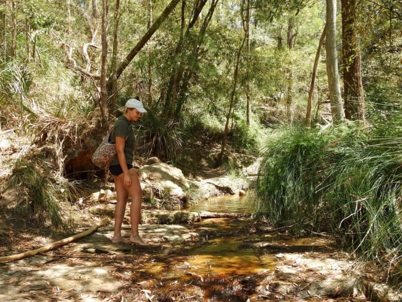 Byron Bay: Rainforest Waterfalls Guided Eco Tour - Final Thoughts