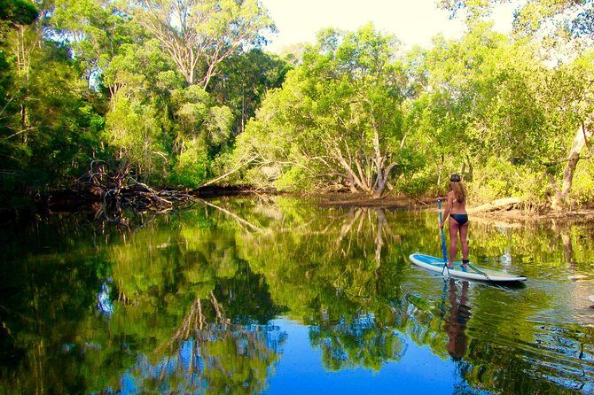 Byron Stand Up Paddle Nature Tour - What Are Some Potential Downsides?