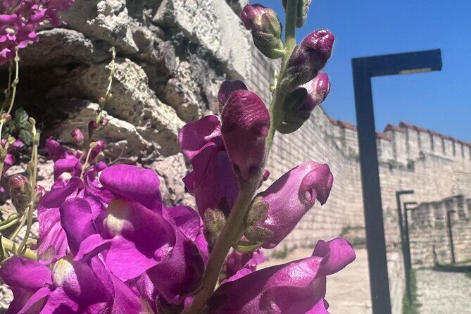 Byzantion Walk Path and City Walls of Istanbul - What Do Travelers Say?