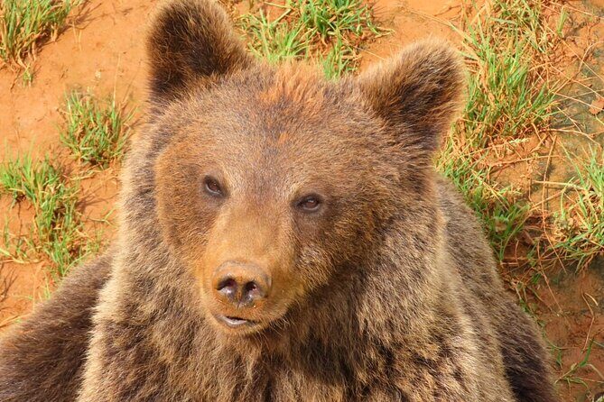 Cabarceno Natural Park Visit - What’s Included and What’s Not