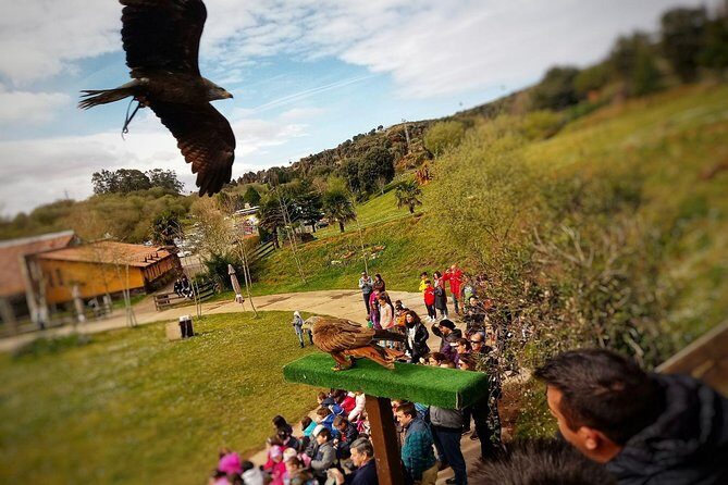 Cabarceno Natural Park Visit - FAQs