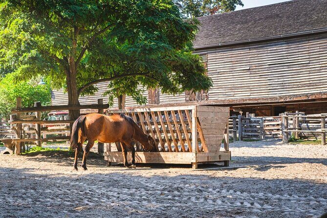 Cabbagetown In Colour: A Walking Tour of Toronto - Who Should Consider This Tour?