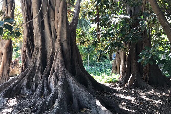 Cabecera Park Private Segway Tour - FAQ