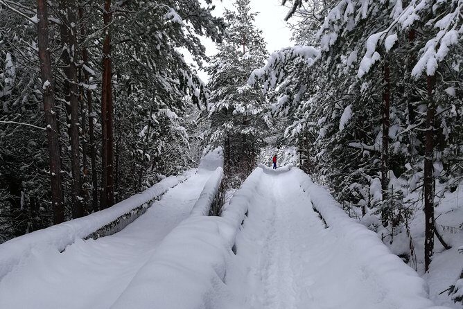 Cable Car Olympic Tour With Museum - Visiting the Olympic Museum