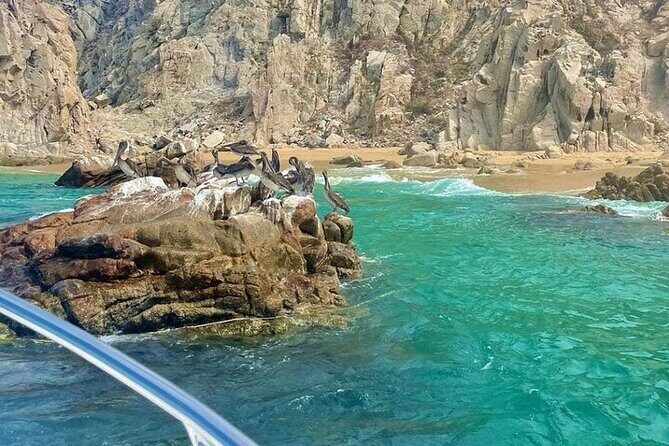 Cabo Arch Glass Bottom Boat: Hotel PICKUP, Arch & Lovers Beach - Final Thoughts: Is This Tour Right for You?
