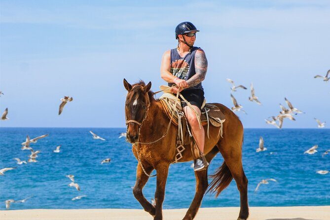 Cabo ATV Adventure with Camel and Horseback Ride - The Details of the Cabo ATV Adventure Experience
