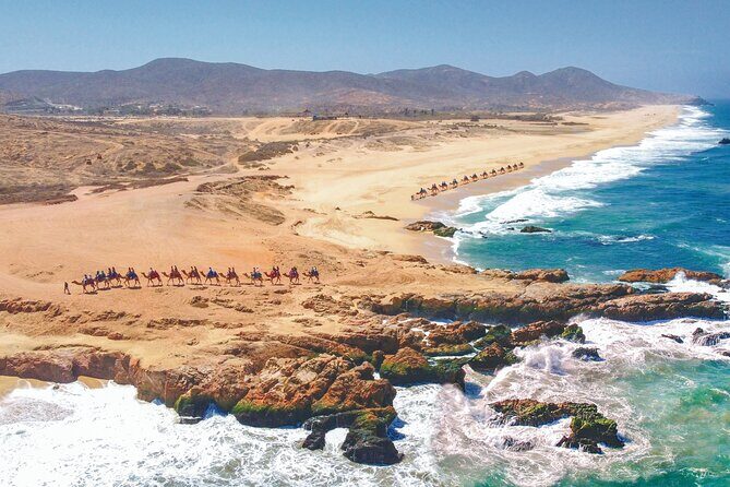 Cabo ATV Adventure with Camel and Horseback Ride - Frequently Asked Questions