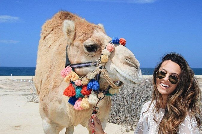 Cabo Camel Ride: Beach Safari, Tequila Tasting & Buffet - Who Is This Tour Best For?