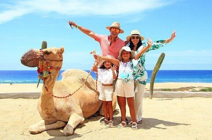 Cabo Camel Ride: Beach Safari, Tequila Tasting & Buffet - Frequently Asked Questions