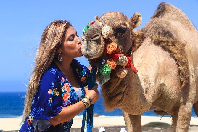Cabo Camel Ride Experience - Pricing and Value