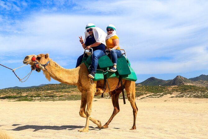 Cabo Camel Ride Experience - Practical Tips for Your Visit