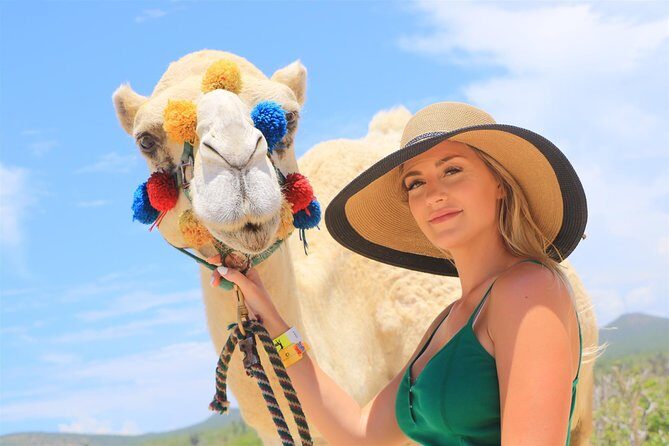 Cabo Camel Ride, Mexican Buffet and Tequila Tasting - Frequently Asked Questions