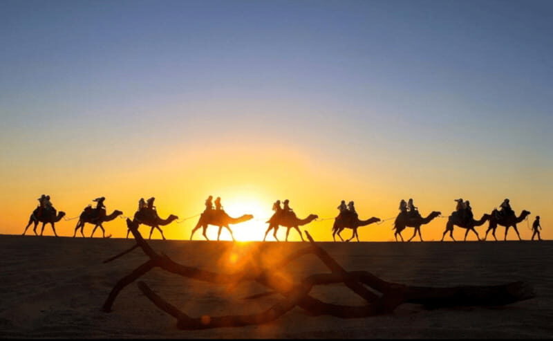 Cabo: Camel Safari Adventure with Tacos - What You Can Expect from the Camel Safari Adventure