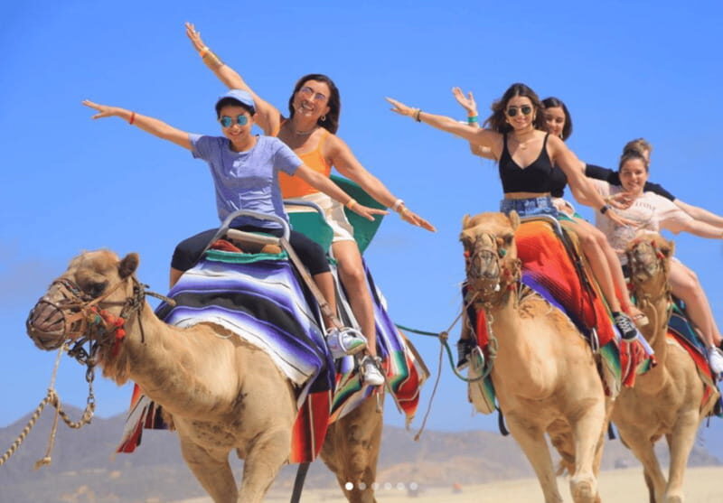 Cabo: Camel Safari Adventure with Tacos - The Financials: Is It Worth It?