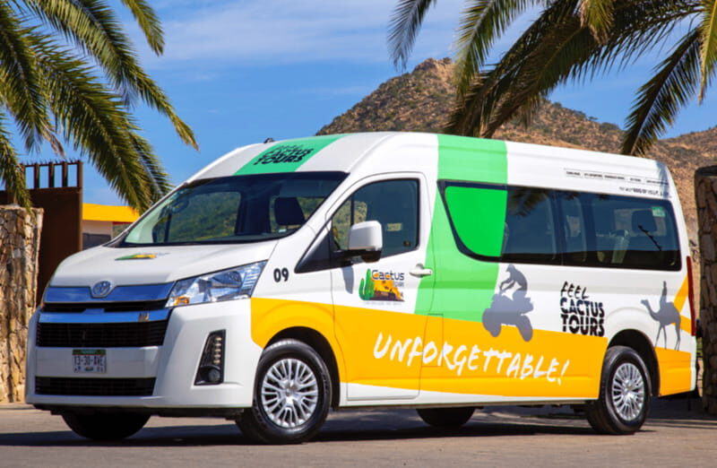 Cabo: Camel Safari Adventure with Tacos - Who Is This Tour Best For?