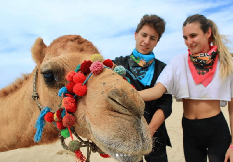 Cabo: Camel Safari Adventure with Tacos - Final Thoughts