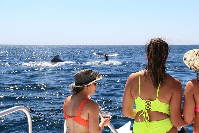 Cabo Catamaran  Snorkeling Tour & Coastal Views - FAQs