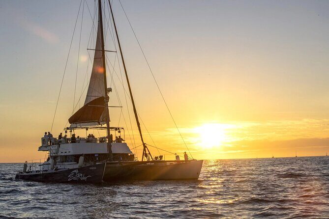 Cabo Cruise Sunset Adventure: Tacos, Margaritas & Sea Lions - Key Points