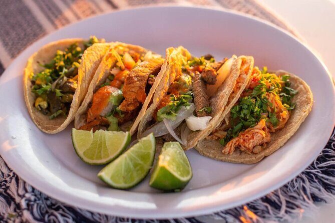 Cabo Cruise Sunset Adventure: Tacos, Margaritas & Sea Lions - Who Is This Tour Best For?