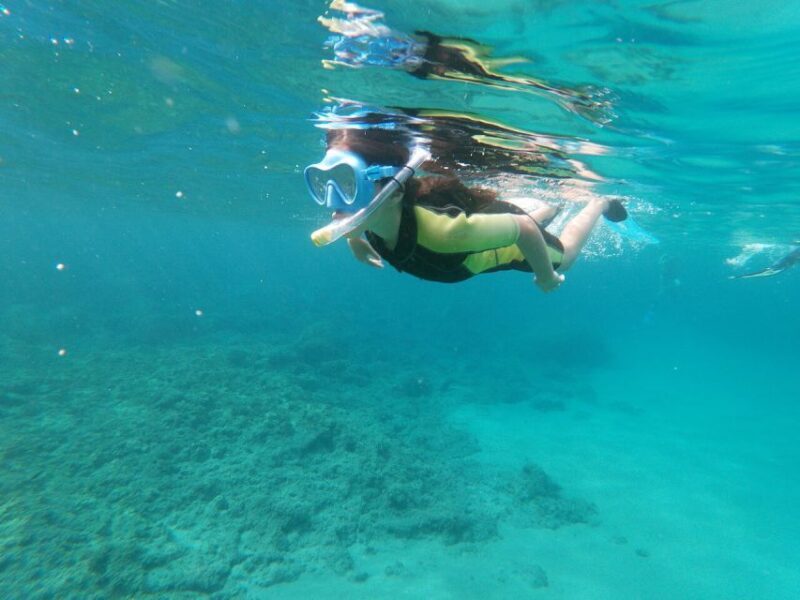 Cabo de Gata Natural Park: Guided Snorkeling Tour - Who Is This Tour Best For?