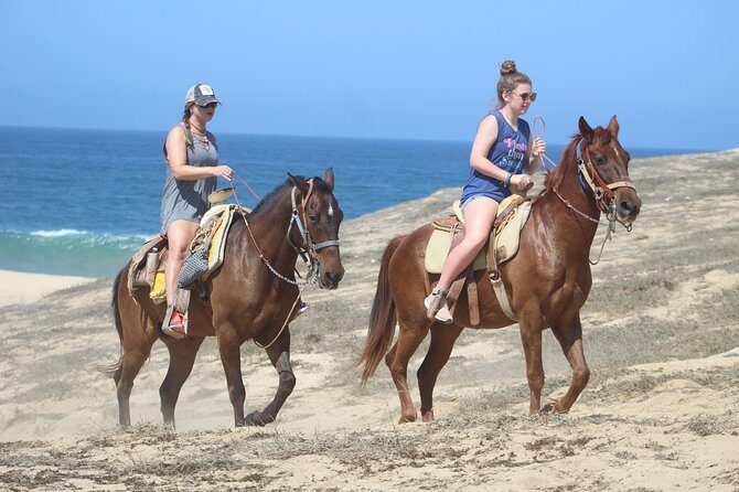 Cabo Desert Off-Road & Beach Horseback Combo and Tequila Tasting - The Experience in Detail